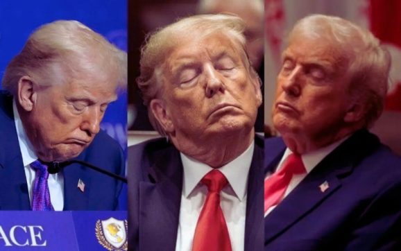 ‘কমান্ডার-ইন-স্লিপ’! জাতীয় ন্যাপ ডে-তে ট্রাম্পকে ঘুমের রাজা বানালেন ডেমোক্র্যাটরা