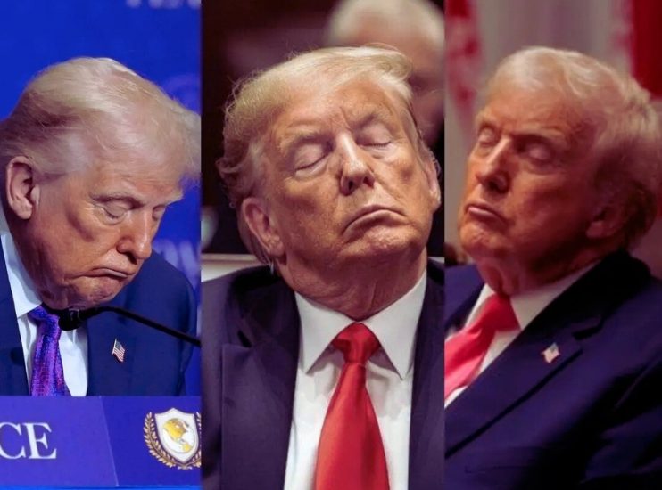 ‘কমান্ডার-ইন-স্লিপ’! জাতীয় ন্যাপ ডে-তে ট্রাম্পকে ঘুমের রাজা বানালেন ডেমোক্র্যাটরা