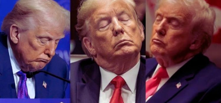 ‘কমান্ডার-ইন-স্লিপ’! জাতীয় ন্যাপ ডে-তে ট্রাম্পকে ঘুমের রাজা বানালেন ডেমোক্র্যাটরা