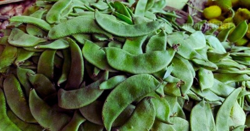 শিমের দামে বিস্ময়: কৃষকের হাটে ৫ টাকা, ভোক্তার বাজারে ৭০ টাকা!