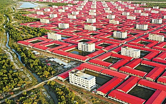 রোহিঙ্গাদের জন্য ২ মিলিয়ন ডলার দেবে জাপান