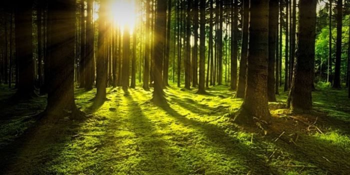 শিশু থেকে বৃদ্ধ ভিটামিন ডি আবশ্যক