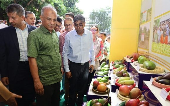 ‘আম রপ্তানী বাড়াতে কাজ করছে সরকার’
