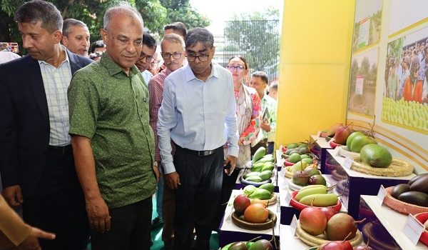 ‘আম রপ্তানী বাড়াতে কাজ করছে সরকার’