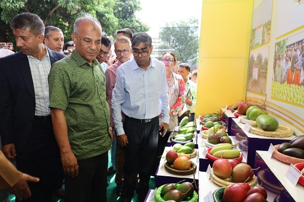 ‘আম রপ্তানী বাড়াতে কাজ করছে সরকার’